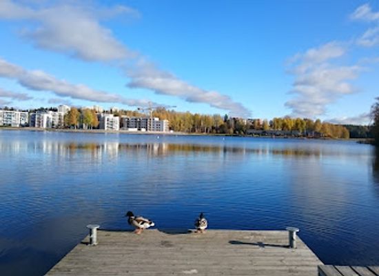finland/savo/attraction/kenkavero