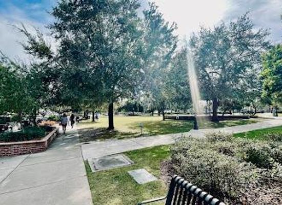 florida/orlando/attraction/central-park