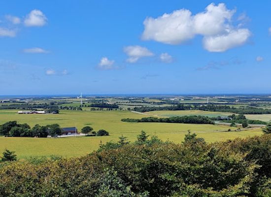 denmark/thy-national-park/attraction/udsigtstarnet-i-ashoj-plantage