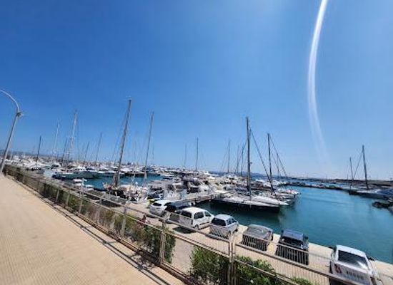 spain/palma-de-mallorca/attraction/city-sightseeing-palma-de-mallorca