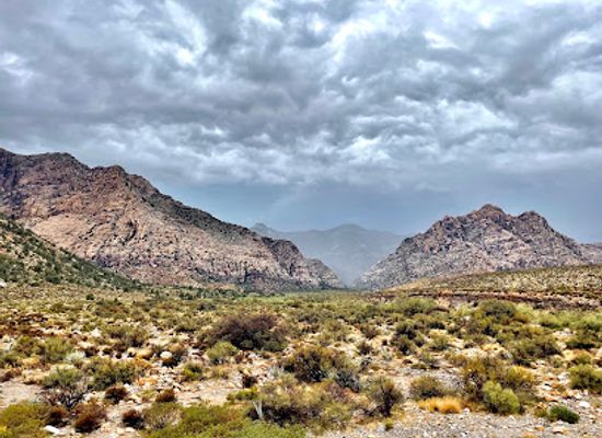 nevada/great-basin/attraction/red-rock-canyon-national-conservation-area