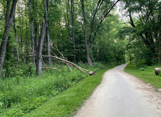 indiana/yellowwood-state-forest/attraction/salt-creek-trail-nashville-indiana