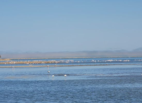 namibia/namib-desert/attraction/waterfront