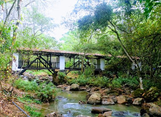 colombia/serrania-del-perija/attraction/el-gallineral-natural-park