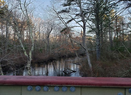 rhode-island/arcadia-management-area/attraction/wood-river-arcadia-management-area