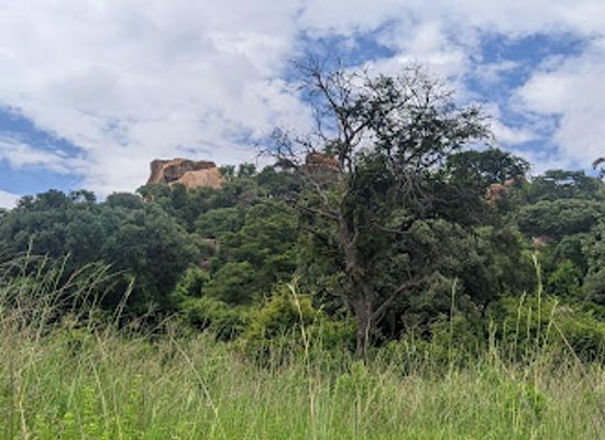 zimbabwe/mashonaland-east/attraction/snake-world