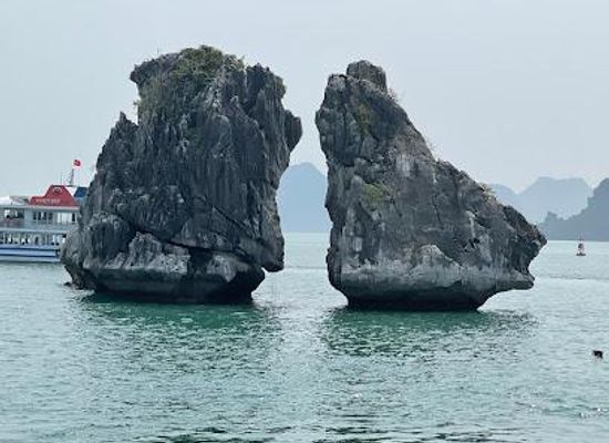 vietnam/ha-long/attraction/fighting-cock-islet