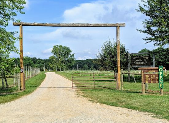 indiana/pokagon-state-park/attraction/wild-winds-buffalo-preserves