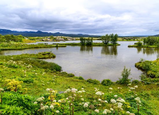 iceland/Þingvellir-national-park/attraction/hakio-bingvollum