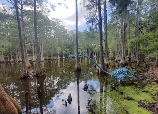 florida/tallahassee-area/attraction/tallahassee-museum