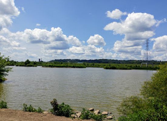 indiana/the-ohio-river-valley/attraction/oxbow-nature-conservancy
