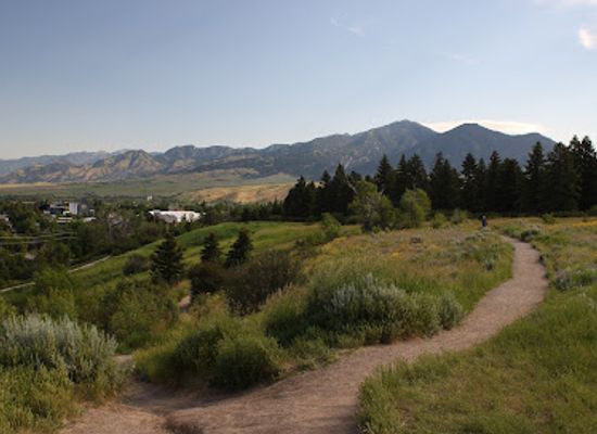 montana/gallatin-canyon/attraction/gallagator-trail