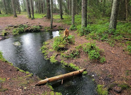 finland/varsinais-suomi-southwest-finland/attraction/someroja-sacrifice-spring