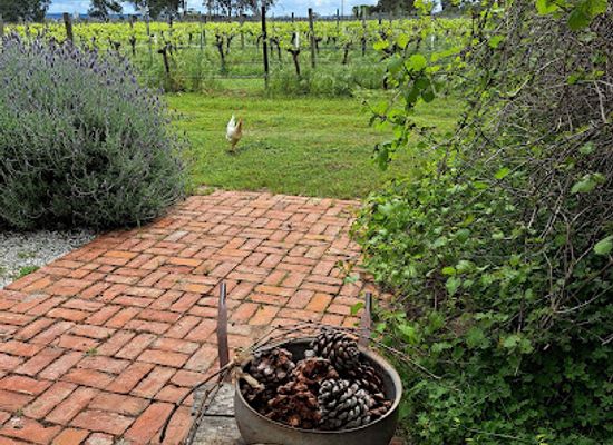 australia/barossa-valley/attraction/hart-of-the-barossa
