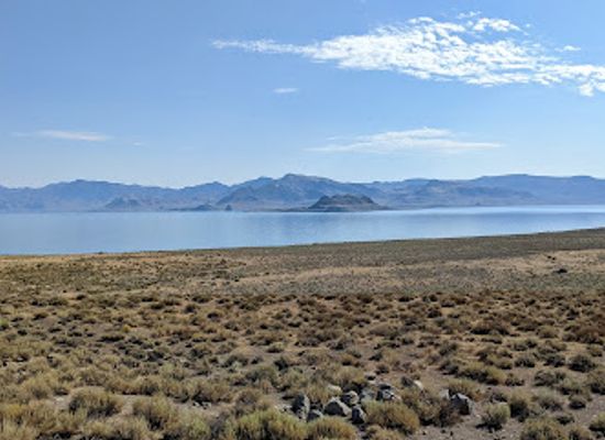 nevada/washoe-county/attraction/anaho-island-national-wildlife-refuge