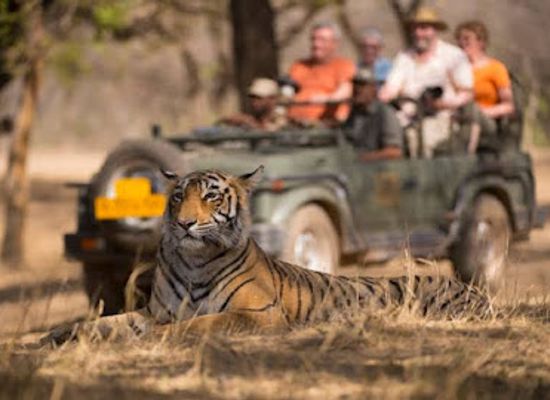 india/ranthambore/attraction/ranthambore-national-park