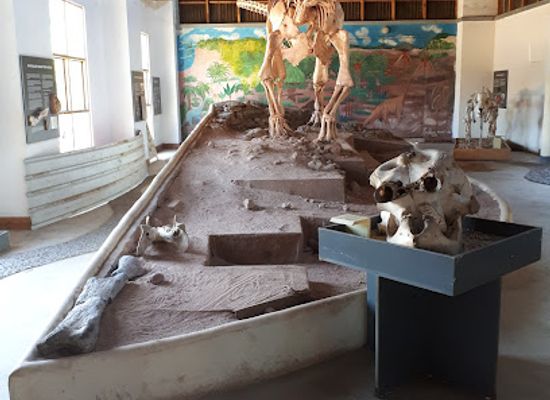 malawi/central-region/attraction/karonga-museum