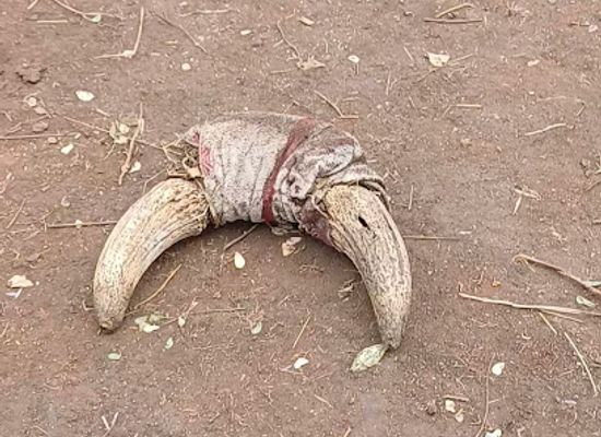 ethiopia/omo-valley/attraction/omo-valley-tourist-attraction-zone