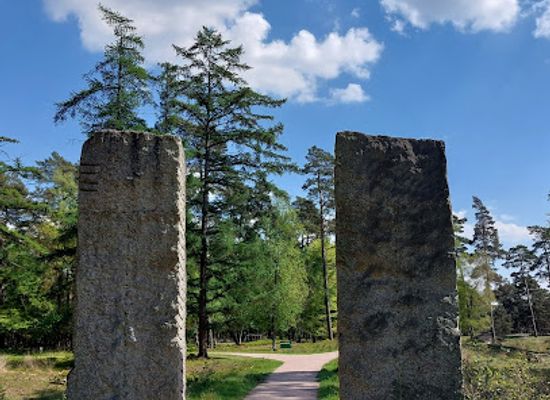 netherlands/hoge-veluwe-national-park/attraction/trage-tocht-hoenderloo-np