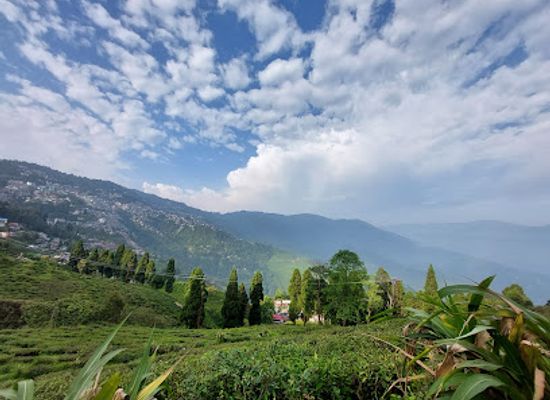 india/darjeeling/mall-road/attraction/chowrasta-darjeeling