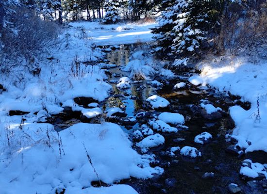 montana/the-cabinet-mountains/attraction/cabinet-mountains-wilderness