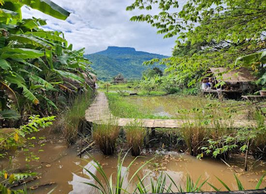 thailand/loei/attraction/bananaland