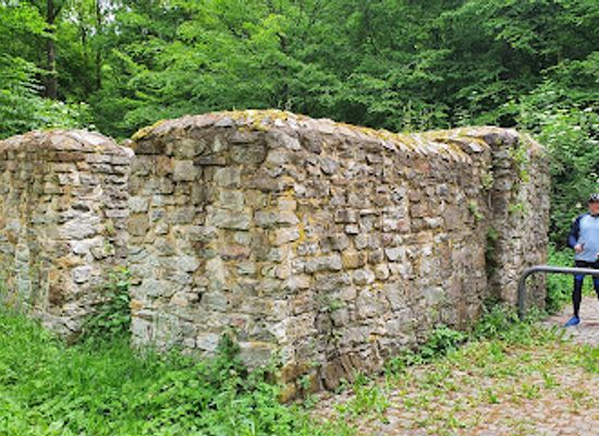 germany/taunus/attraction/kapersburg