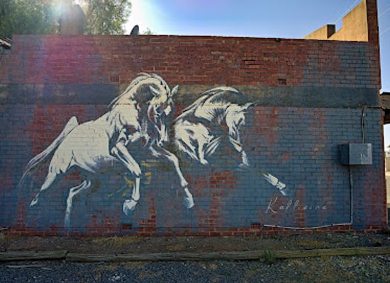 australia/mallee/attraction/horse-mural-by-katie-kaff-eine