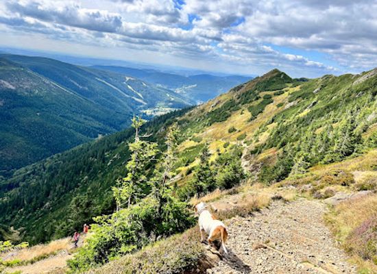 czechia/krkonose-national-park/attraction/stara-bucharova-cesta