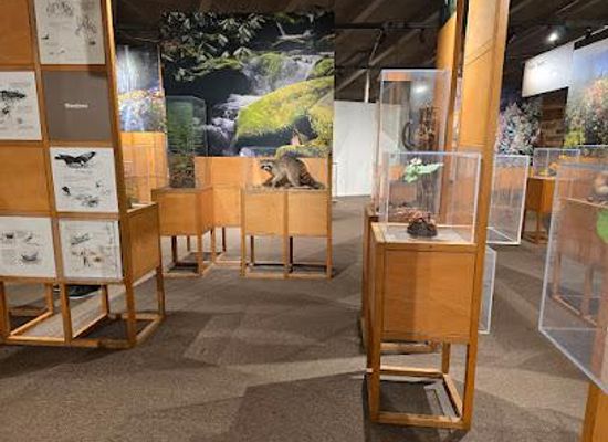 tennessee/great-smoky-mountains/attraction/sugarlands-visitor-center