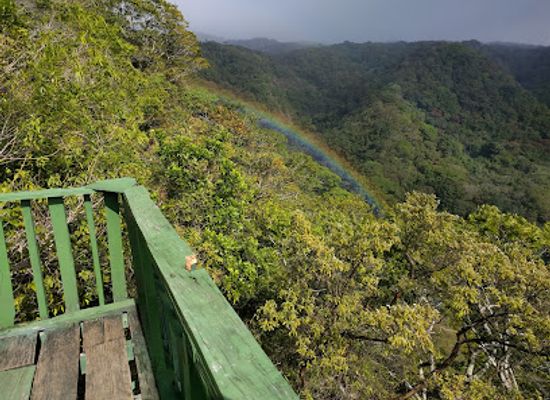 costa-rica/monteverde-cloud-forest/attraction/ecological-sanctuary