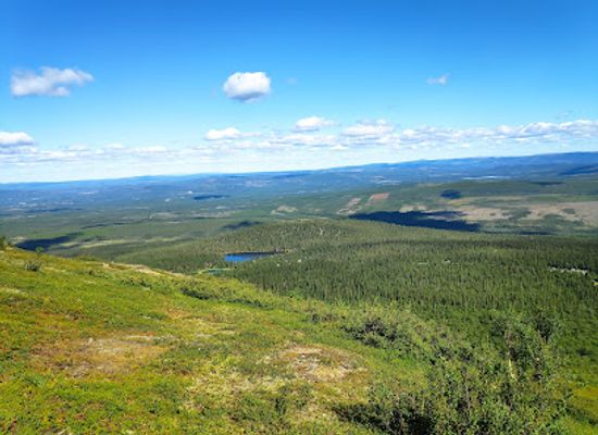 sweden/jamtland/attraction/sonfjallet-national-park