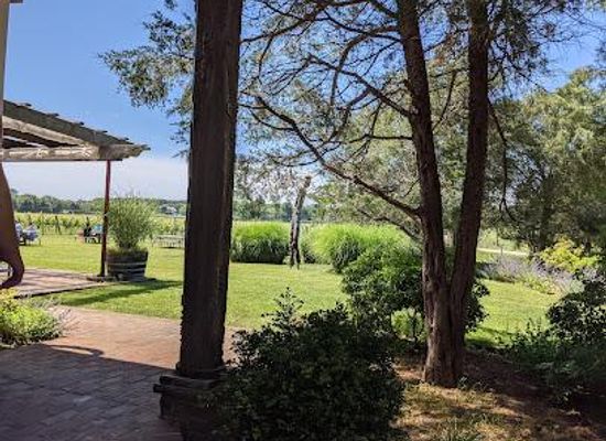 new-york/long-island/attraction/channing-daughters-winery