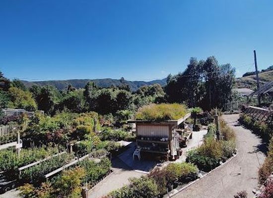 new-zealand/masterton/attraction/aston-norwood-garden-centre-nursery