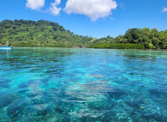 solomon-islands/nggela-islands/attraction/simon-s-nature-reserve-simon-s-bay