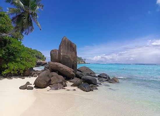 seychelles/anse-royale/attraction/anse-royale-beach