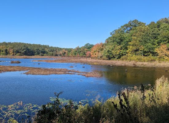 rhode-island/westerly/attraction/woody-hill-management-area