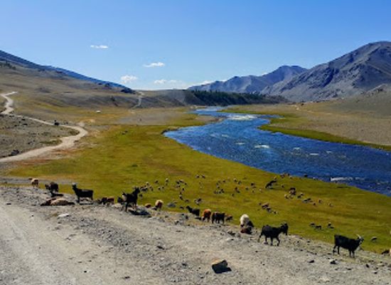 mongolia/ikh-nuur-basin/attraction/altai-tavan-bogd-national-park
