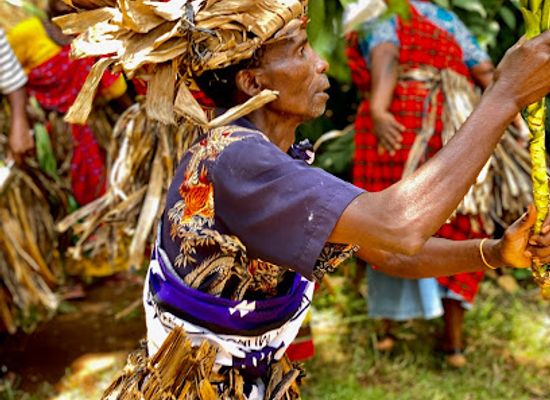 tanzania/kilimanjaro-region/attraction/coffee-plantation-marangu