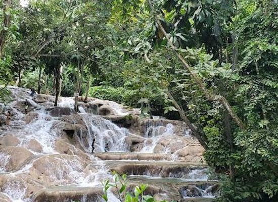 jamaica/ocho-rios/attraction/the-world-famous-dunn-s-river-falls-park
