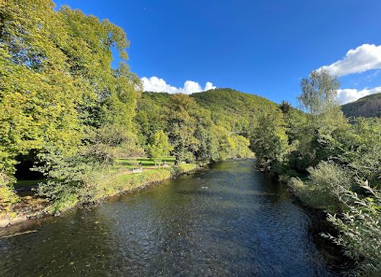 germany/eifel-national-park/attraction/burg-hengebach
