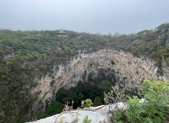 mexico/chiapas/attraction/centro-ecoturistico-sima-de-las-cotorras