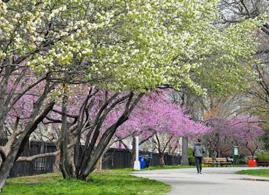 new-york/yonkers/attraction/mccarren-park