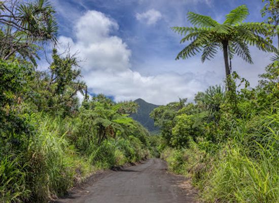 vanuatu/tafea/attraction/ash-plain-s