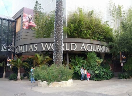 texas/north-texas/attraction/the-dallas-world-aquarium