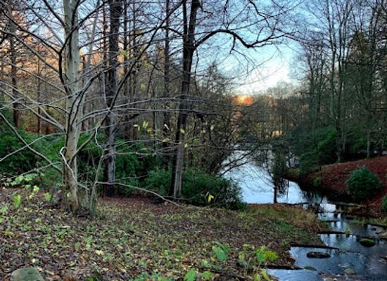 sweden/gothenburg-archipelago/attraction/august-kobb-pond-waterfall