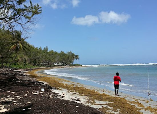 barbados/east-coast/attraction/bath-beach