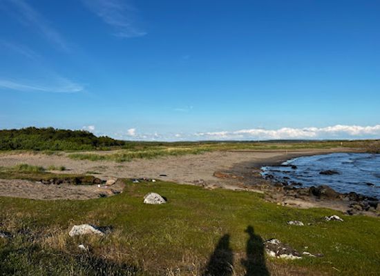 sweden/halland/attraction/grimsholmens-naturreservat