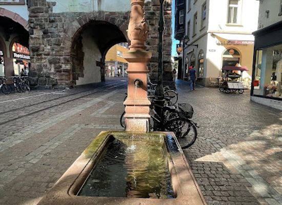 germany/freiburg/attraction/lowenbrunnen