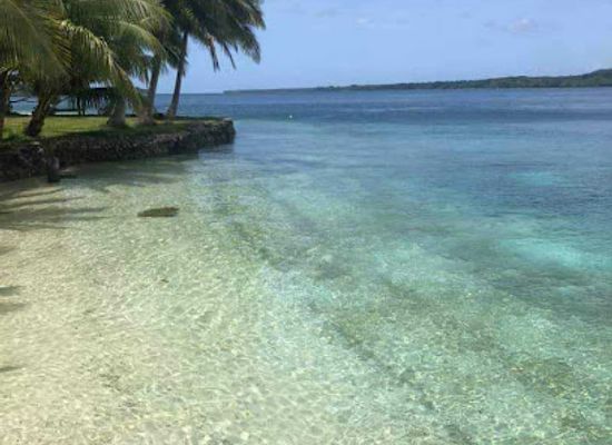 vanuatu/aore-island/attraction/vanuatu-tourism-office